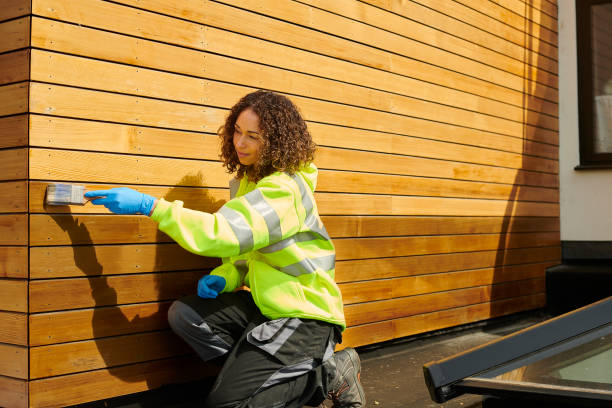 Best Vinyl Siding Installation  in Hattiesburg, MS