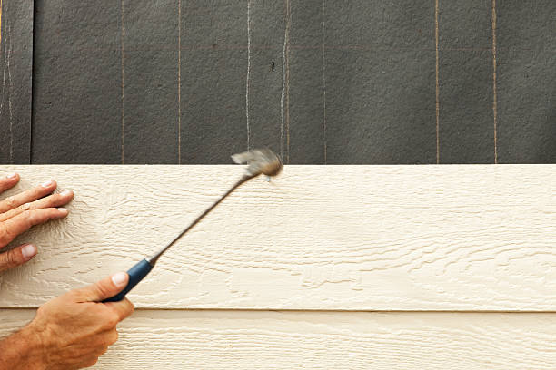 Best Vinyl Siding Installation  in Hattiesburg, MS